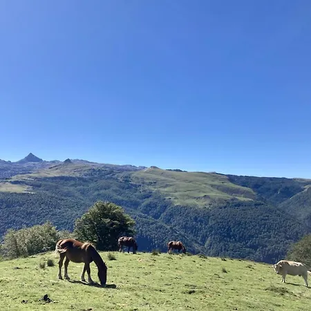 Refuge D'issarbe Lanne-en-Baretous