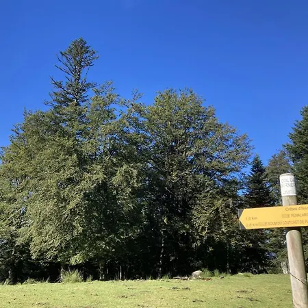 Refuge D'issarbe Han/Misafirhane Lanne-en-Baretous